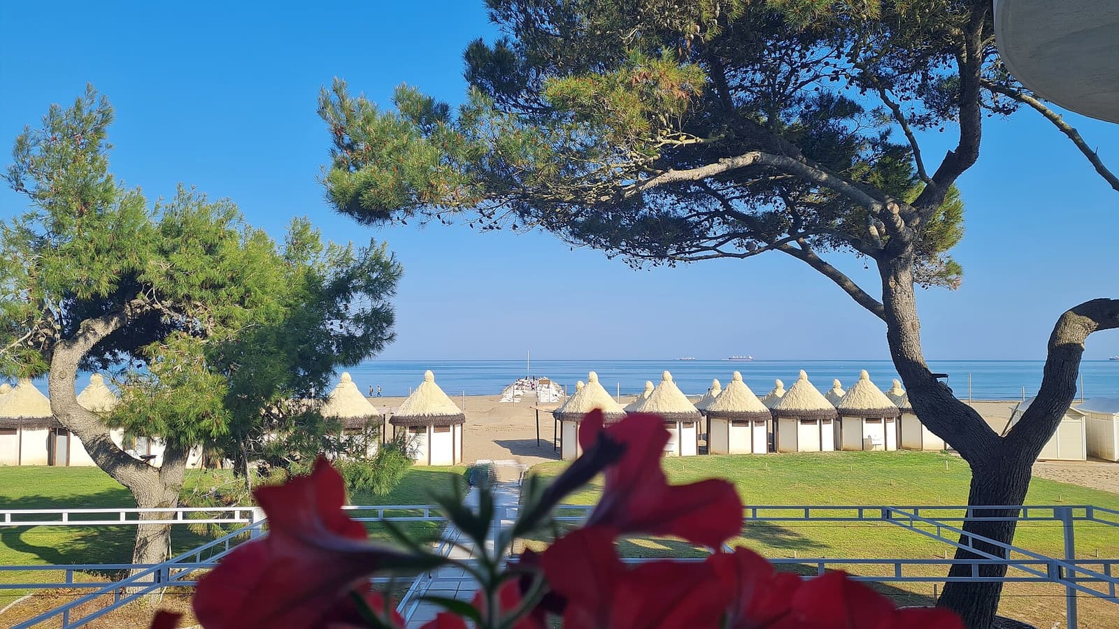 Reihen weißer Strandkabinen hinter den Pinien an der Uferpromenade des Lido